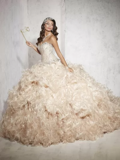 Quinceanera Collection - 26774 Beaded Sweetheart Organza Ballgown